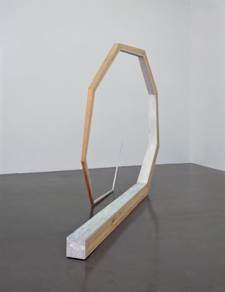hu-xiaoyuan-work-5
