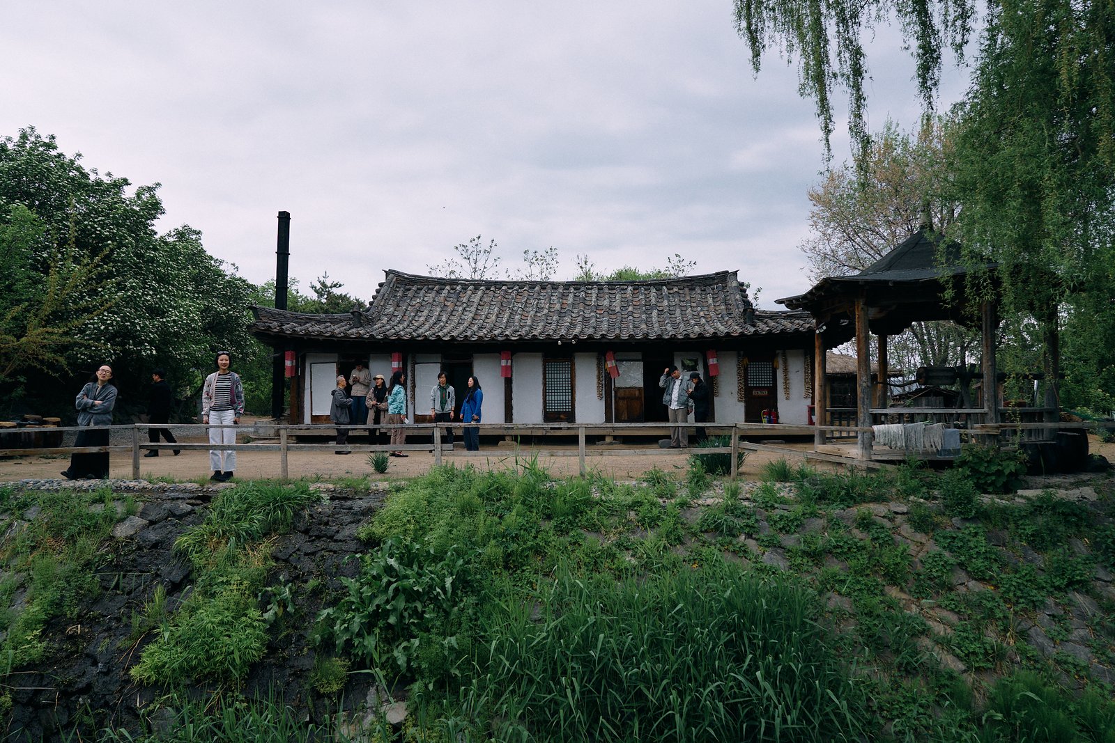 15-DSC02365